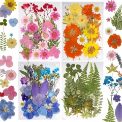 100 Pcs Dried Pressed Flowers - COLORFUL A