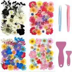 160 Pcs Small Dried Pressed Flowers for Resin with Tools