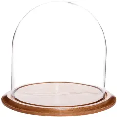 Plymor 11.75" x 12" Glass Display Dome Cloche Oak