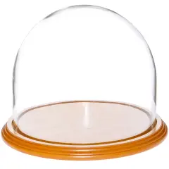 Plymor 8" x 6.5" Glass Display Dome Cloche Oak Veneer
