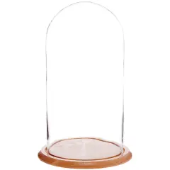 Plymor 9.75" x 20" Glass Display Dome Cloche Oak