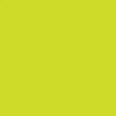 Pure Solid in Electric Lime (pe-578) | Pure Solids | AGF Studio | Art Gallery
