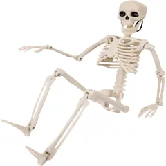 1PCS Halloween Skeleton Decorations, 16" Halloween Full Body