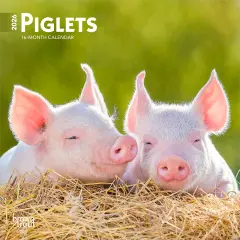 Piglets | 2026 7 x 14 Inch (Hanging) Monthly Mini Wall Calendar