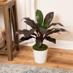 Northlight Real Touch&trade;️ Red and Green Artificial Dracaena Potted Plant - 23"