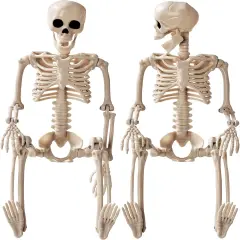Halloween Decoration Outdoor 2 Pack Skeleton, 16" Plastic Posable Skeleton