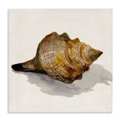 Stupell Industries Conch Shell on Beige Canvas Wall Art Design by Jacob Q