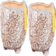 2pcs Hand Painted Cactus Plant Pots