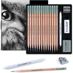 18-Piece Professional Sketch Pencil Set - Includes 5H to 14B Pencils,Graphite, Vinyl Eraser, Kneaded Eraser,Sharpener and Paper Blending Stump - Ideal for Artists and Beginners
