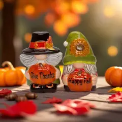 Ceramic Autumn Pilgrim Gnome Salt and Pepper Shakers, Thanksgiving Decor, Fairy Garden Decor, Gnome Collector Gift, Gift for Her