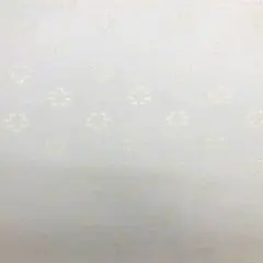 1 Yard Ivory Rachelle Lace Fabric Elegant Sheer Floral Lace for Bridal, Craft & D&eacute;cor 58&Prime;-60&Prime; Wide