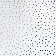 Clearly Posh Acetate Sheets 12"X12"-Confetti Dot W/Silver Foil