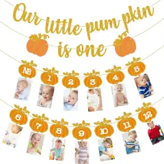 Fall Pumpkin 1st Birthday Photo Banner - Autumn Milestone Photograph Bunting