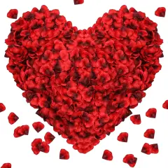 1000Pieces Rose Petals