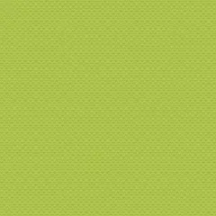 Bella Blvd Bow Wow Double-Sided Cardstock 12"X12"