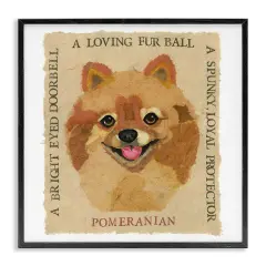 Stupell Industries Fun Pomeranian Pet Phrases Framed Giclee Wall Art Design by Nancy Overton