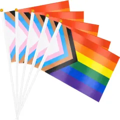 20 Pack Small Progress Pride Flag Stick 21 x 14 cm - Handheld Progress Pride Flags, Mini LGBTQ Rainbow Gay Flag for Outdoor LGBT Parades, Rainbow Party Decorationsc