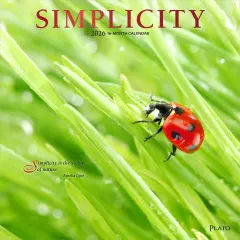 Simplicity | 2026 12 x 24 Inch (Hanging) Monthly Square Wall Calendar | Foil Stamped Cover