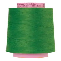 Fern Green (1228-8507) | Seracor (2500M / 2734Y) | Mettler Thread