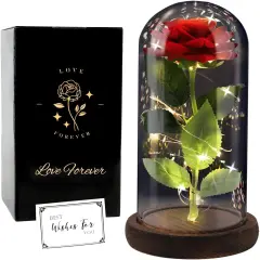 Birthday Rose Gifts, Rose Flower Gifts for Women, Beauty and The Beast Rose, Rose Flowers for Mother's Day Women Gift, Red Galaxy Rose Flowers in A Glass Dome for Girlfriend, Wife