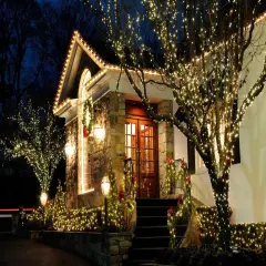 White Christmas Lights Commercial Grade Outdoor Waterproof