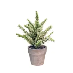 Potted Icy Pine 7"