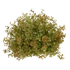 Baby Grass Table Piece 7"