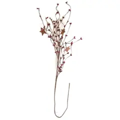 Decorative Pip & Star Spray Burgundy