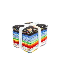 New Box of Crayons Fat Quarter Bundle by Riley Blake Designs for Riley Blake (FQ-16510-22)
