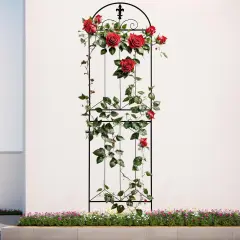 Garden Trellis 70.8" x 19.5", Black Coated