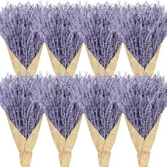 8 Bundles Dried Lavender Bundles 16 Inches 1120-1200 Stems French Dried Lavender Natural Dried Flowers Dried Lavender Bundle for Home Decorations Wedding Photo Props Party Flower Arrangement