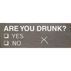 Solid Knotty Pine Bar Sign: Are You Drunk? Yes/No Check Grey-White