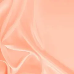 1 Yard Luxe Satin Fabric for Apparel & Event Decor Smooth & High Sheen 58/60" Width Peach