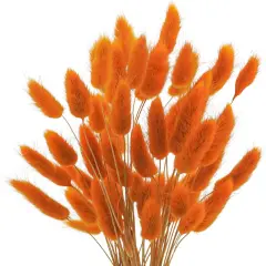 120 Pcs 17&rsquo;&rsquo; Natural Bunny Tails Dried Flowers