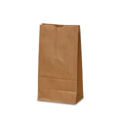 Kraft Paper Grocery Bags 4 1/4'' x 2 3/8'' x 8 3/16''