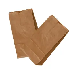 Eco Kraft Grocery Bags 6 9/16'' x 4'' x 13 3/16''