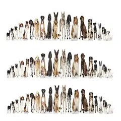 Dogs Collage Cake Border Edible Icing Image 3 Strips