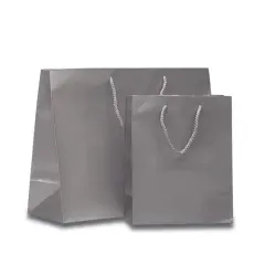 Compact Glossy Euro Totes 6 1/4'' x 3 1/2'' x 8 1/2'' for Retail Packaging Non-Metallic Silver