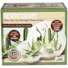 Unique Gardener: Desert Escape Growarium - DIY Double-Sphere Glass Terrarium Starter Kit, Grow Cacti & Succulents, Mini Nature Plants, Adults & Kids