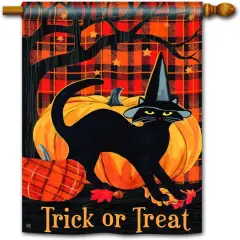 Witch Hat Cat Halloween Banner 2 Sided Vertical House Flag