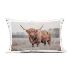 Stupell Industries Center Of Attention Cattle Outdoor Pillow, 14 x 7 x 20