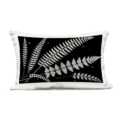 Stupell Industries Fern Studies on Black Outdoor Pillow, 14 x 7 x 20