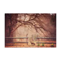 Stupell Industries Sly Guy Fox in Forest Canvas, design by Carrie Ann Grippo-Pike