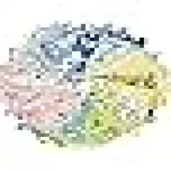 Cotton Fabric Squares 8x8 for Quilt Beginners