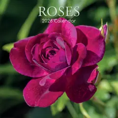 The Gifted Stationary 2026 Square Wall Calendar, Roses, 16-Month Floral Theme Hanging Calendar with 180 Reminder Stickers, Monthly Family Planner for Home & Creative Spaces, (12x12 In) Multicolor