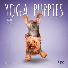 Yoga Puppies OFFICIAL | 2026 7 x 14 Inch (Hanging) Monthly Mini Wall Calendar