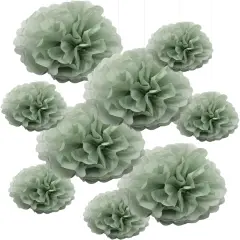 9PCS Dusty Sage Green Tissue Paper Pom Poms Flowers Wall Hanging Backdrop Streamers for Botanical Neutral Baby Shower Wedding Birthday Bridal Shower Nursery Room Garden D&eacute;cor