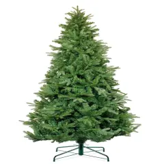 Northern Fir Full Christmas Tree