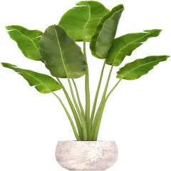 Green Plant Wall Decals 3D Potted Plant
