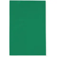 Plymor 4" x 6", Green 2 Mil Flat Open Plastic Poly Bags